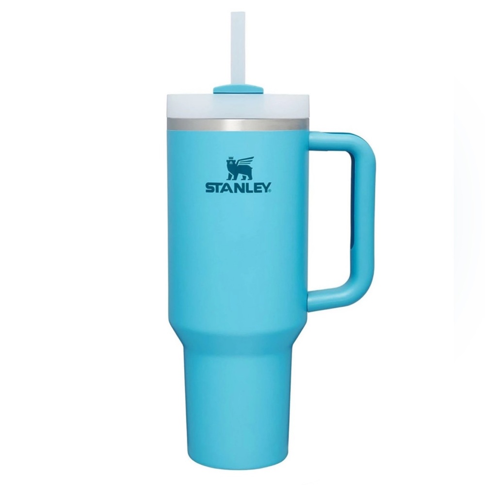 Pool Stanley quencher 40 ounce New
